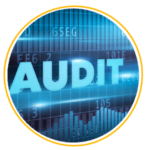 Business_Financial_Audits