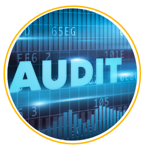 Business Financial Audits